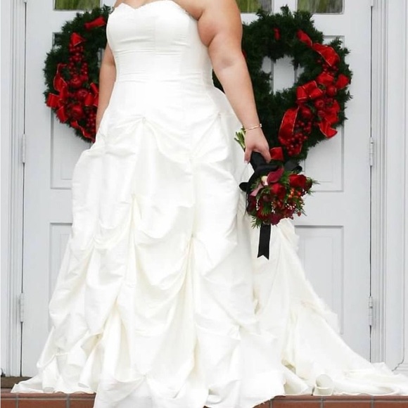 David's Bridal Ivory Taffeta Gown with Beading, Pearls and Pickups - Picture 3 of 4